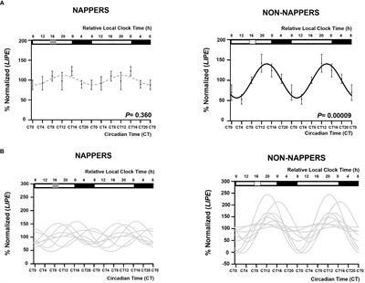 Habitual nappers and non-nappers differ in circadian rhythms of LIPE expression in abdominal adipose tissue explants